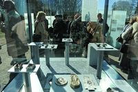 Vitrine mit Fundstücken, 2010 (Foto: Stefan Erhard)